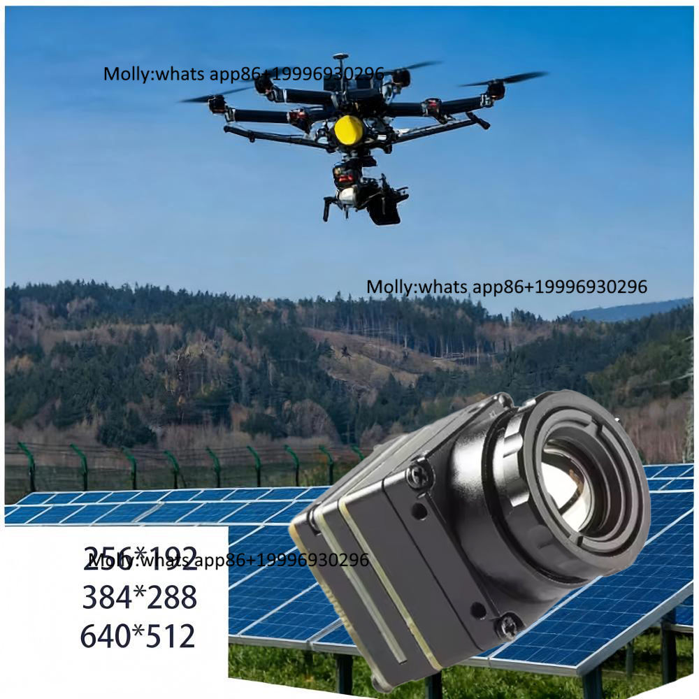 미니 FPV 열화상 카메라 모듈 (CVBS/Type-C - Thermal Camera Type C 384X288 리뷰 및 가격